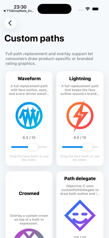 Review Custom Paths